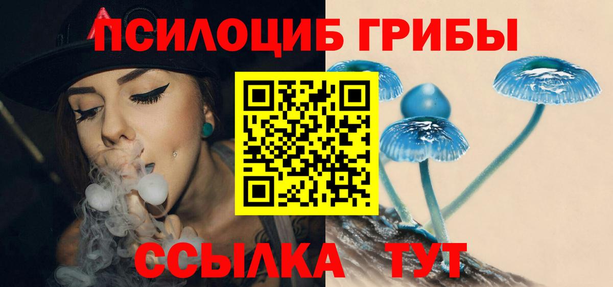 Полевской  Псилоцибиновые грибы Psilocybe  Вход с VPN 