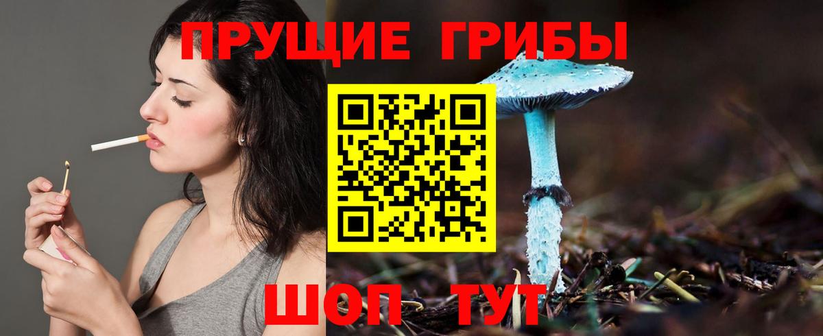 Псилоцибиновые грибы GOLDEN TEACHER Полевской